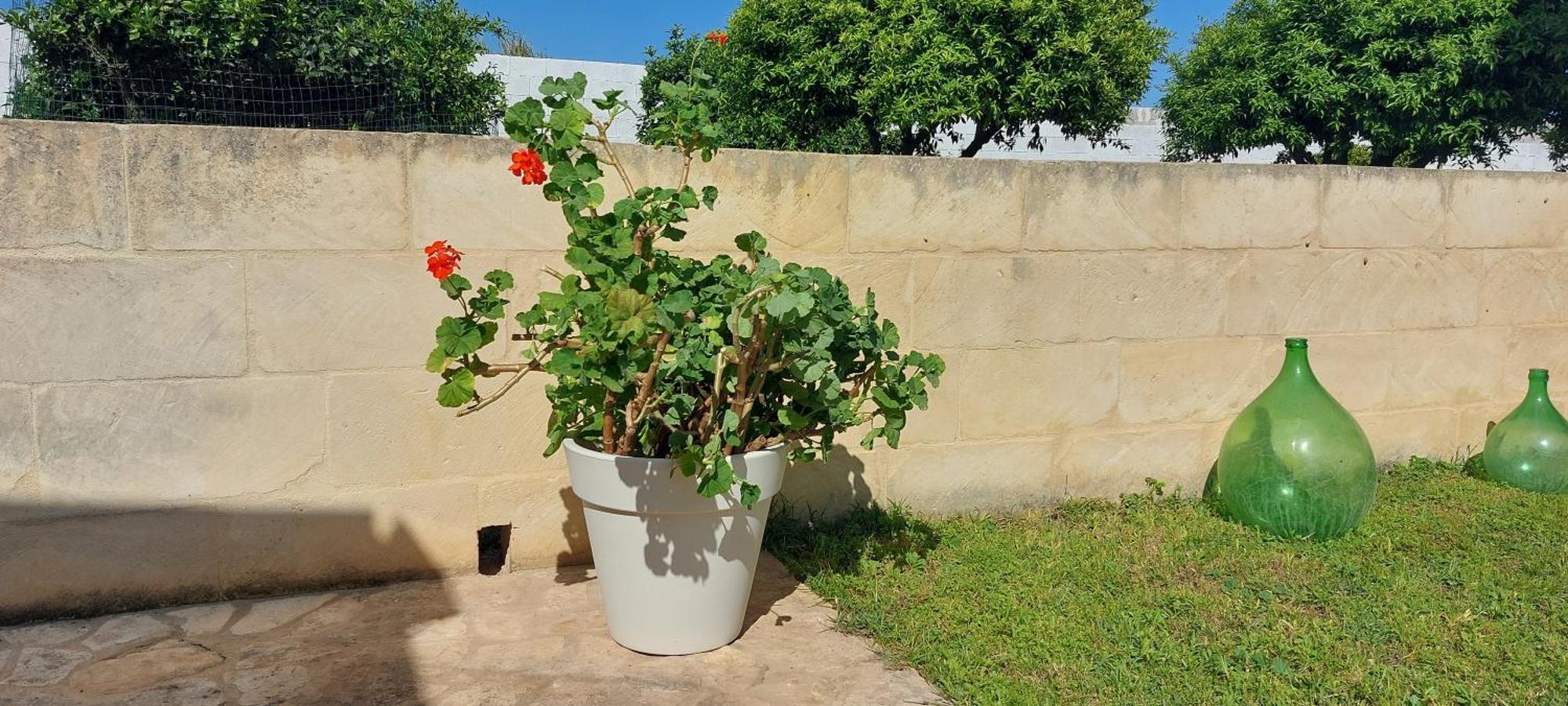L'Aira Ecchia - Ospitalita Rurale Villa Lecce Eksteriør billede
